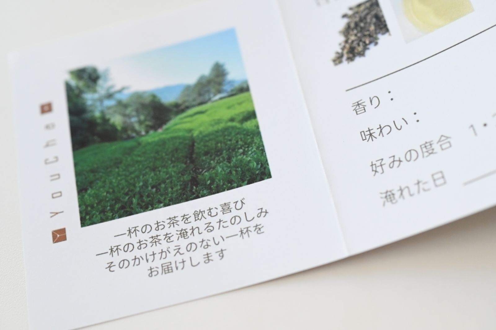 TEA RECIPE Chattle®でたのしむティーレシピ お茶のサブスク「月一定期