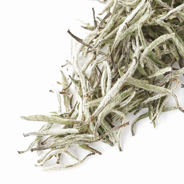 白毫銀針 20g はくごうぎんしん – 遊茶オンラインショップ