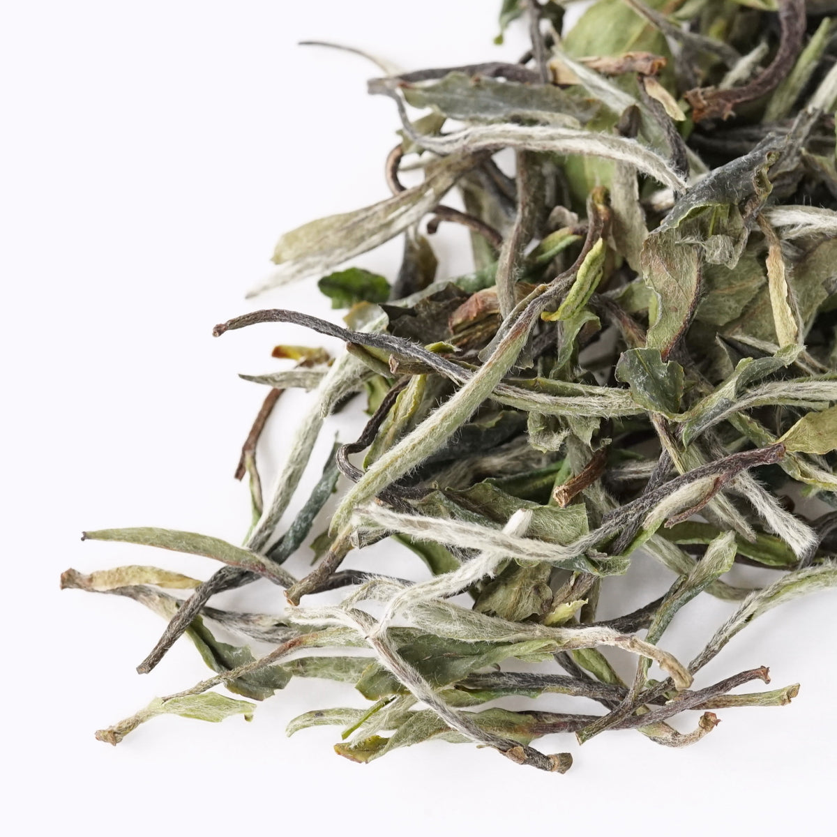 白牡丹 はくぼたん – 遊茶オンラインショップ