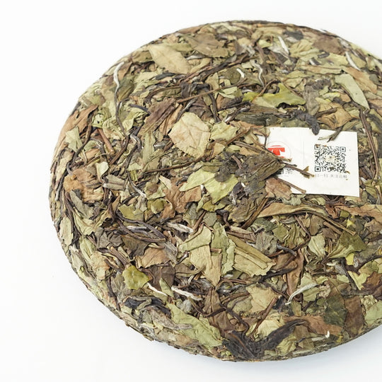 寿眉餅茶 政和2024 約357g じゅびもちちゃ せいわ