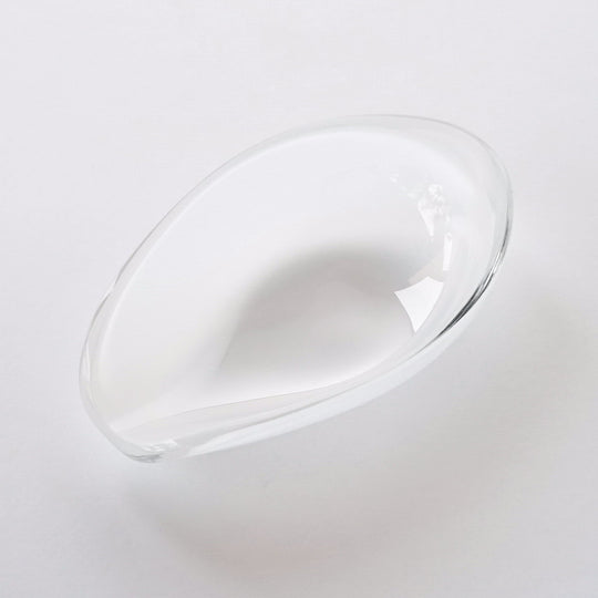 中野雄次 茶荷 月白 ちゃか げっぱく