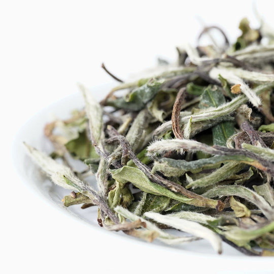 白牡丹 はくぼたん