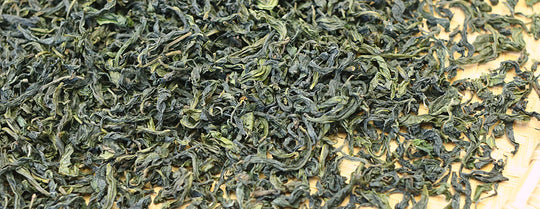 文山包種茶