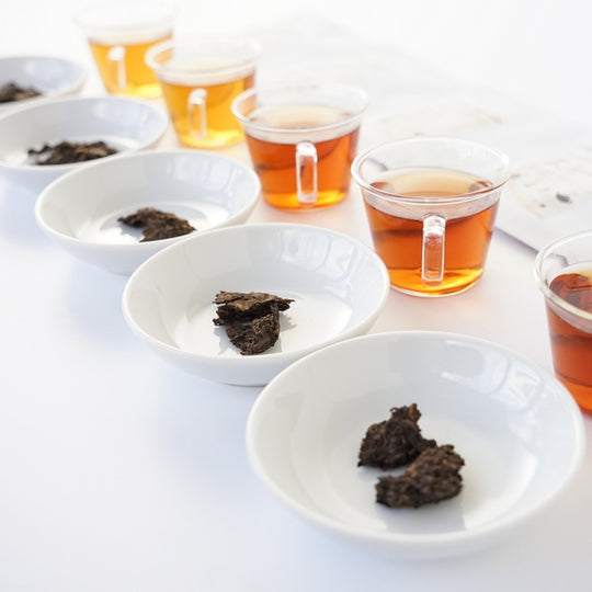 プーアール餅茶アソートセット（各３ｇ×５種） – 遊茶オンラインショップ